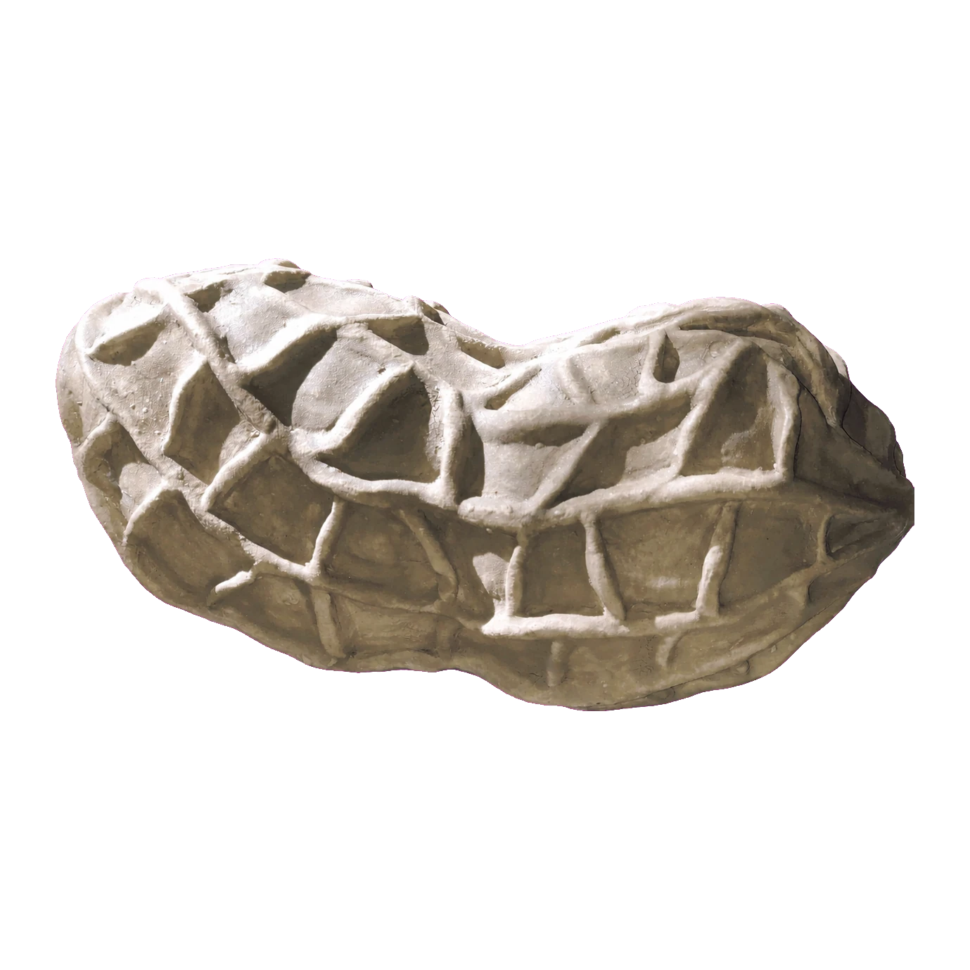 Peanut ceramic sculpture