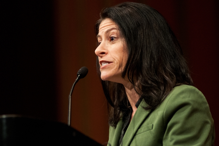 Michigan Democrats introduce bills to protect same-sex couples from discrimination by adoption agencies